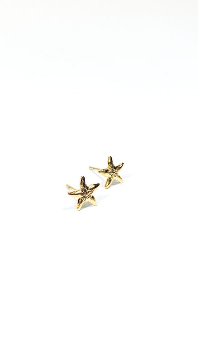 Brinco de estrela dourado